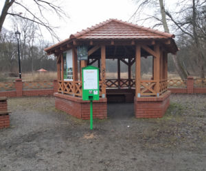 Pierwsze ptasie bufety stanęły w Szczecinie