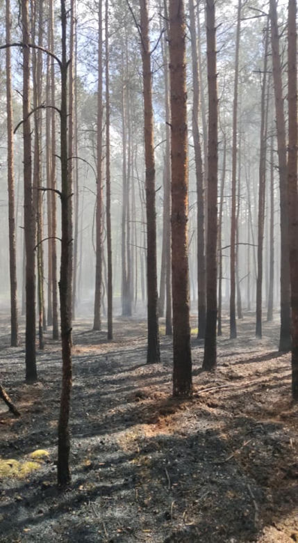Walczyli z pożarem dwa dni! W akcji gaśniczej strażakom pomagali mieszkańcy!