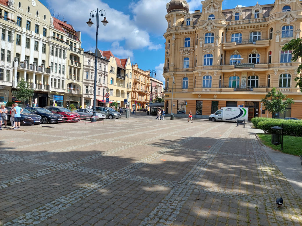 Plac Wolności do remontu. Radni na jego czas wyłączyli ochronę nad cennym drzewem