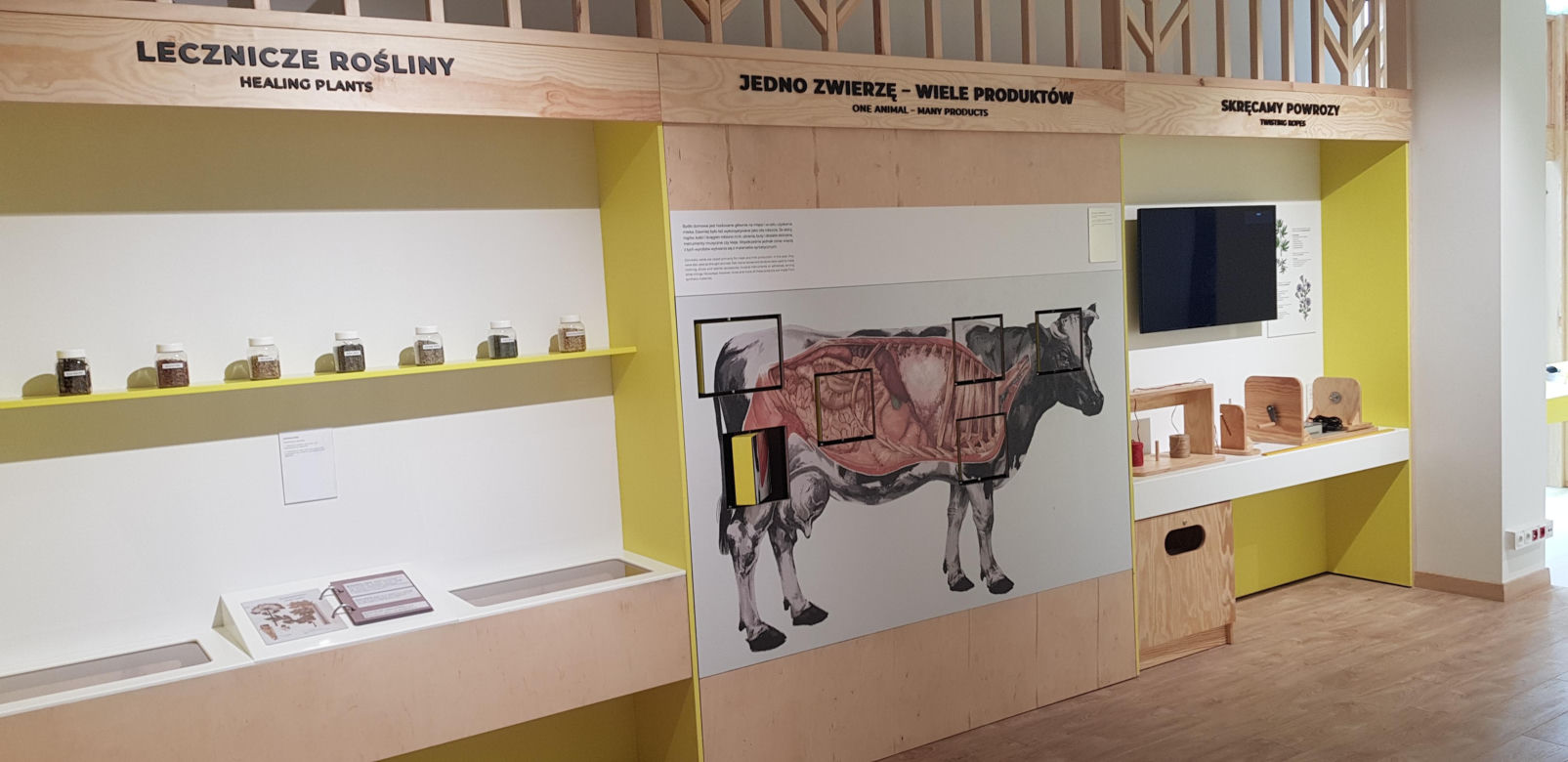 Otwarcie Centrum Nauki Kortosfera w Olsztynie. Bilety już dostępne! Ile kosztują?