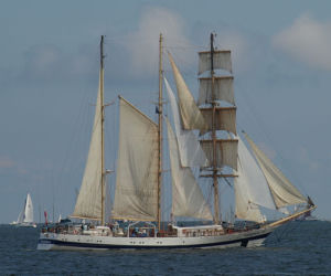 Pogoria