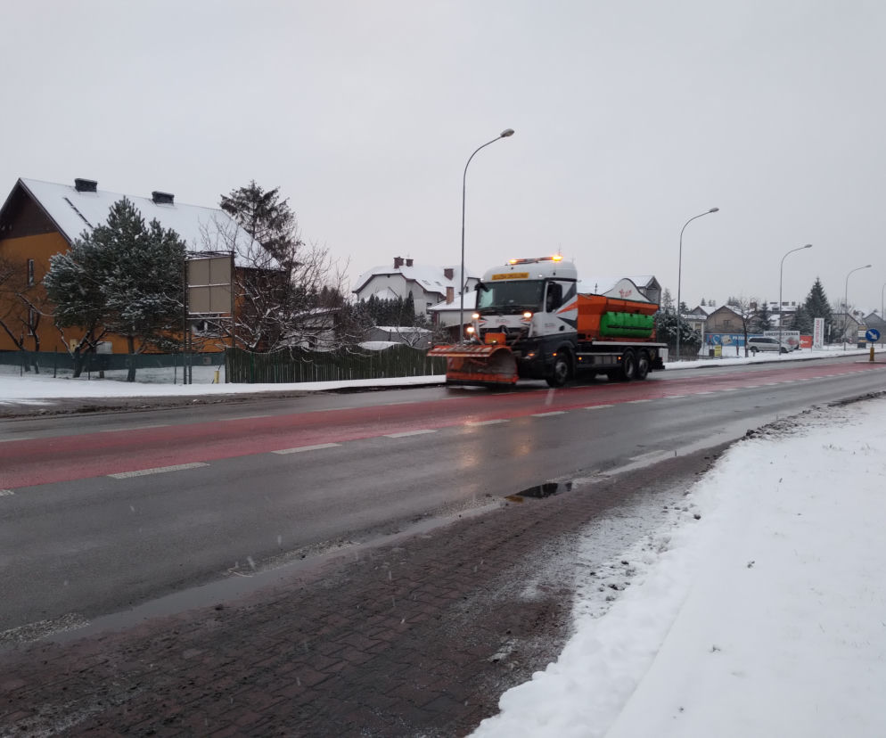 zamość