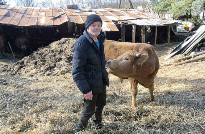 Rolnik z Podlasia bronił swojego bydła. "Gdyby nie brat, to by mnie tam zatłukli"