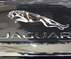 Jaguar