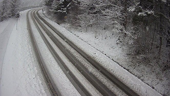 Atak zimy w Polsce. Tutaj zrobiło się biało