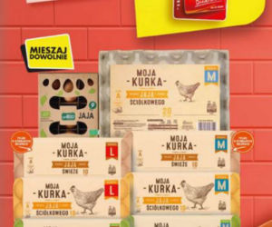 Wielkie promocje w Biedronce od 17.05.
