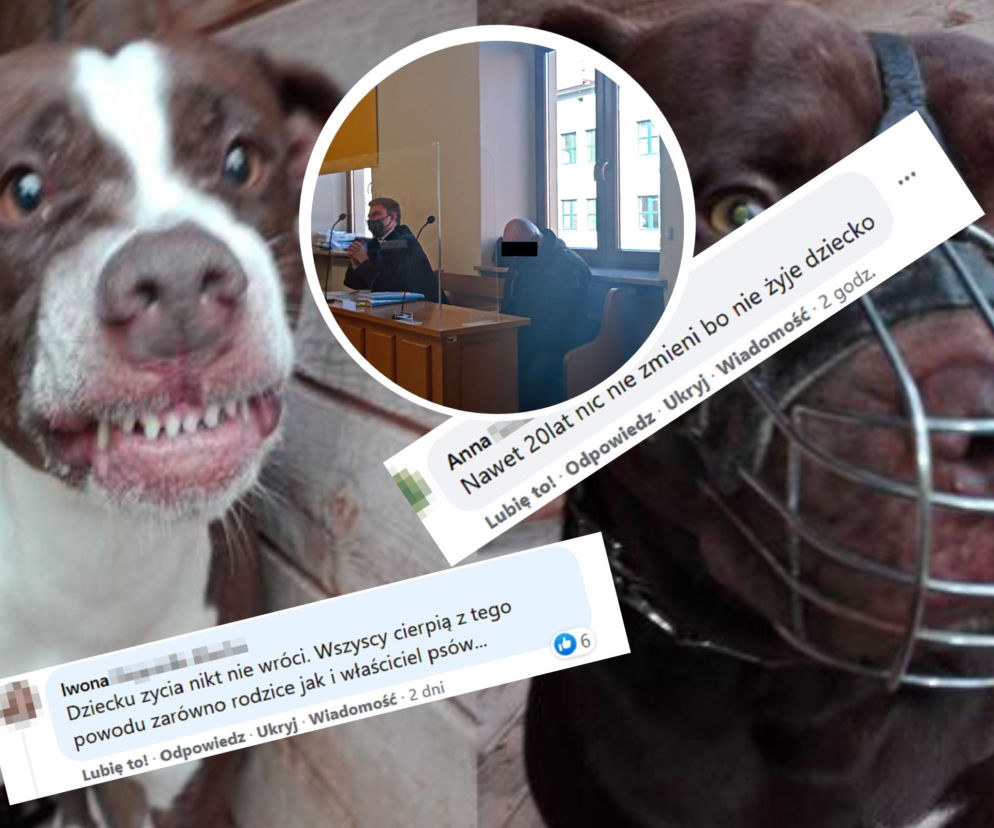 Pitbull zagryzł Kamilka. Po ogłoszeniu wyroku zawrzało! Niesprawiedliwość rządzi tym światem 