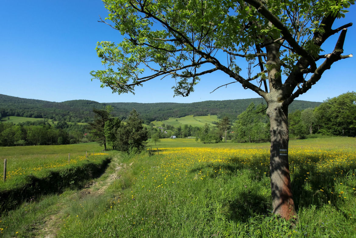 Najdziksze pasmo górskie w Polsce. Przez Beskid Niski setki lat temu wiodły trakty handlowe 