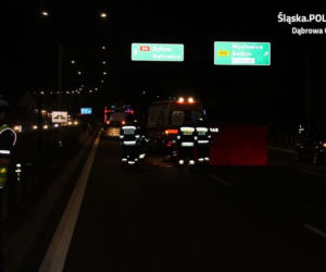 36-latek wtargnął na DK 94. Wpadł pod samochód, zginął na miejscu
