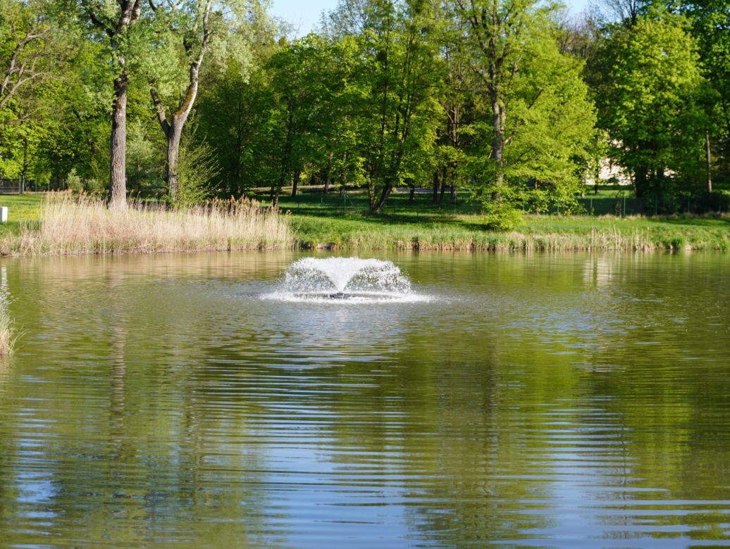 Park miejski w Opolu Lubelskim