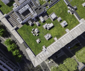 Zielone dachy w retencji wody deszczowej na obszarach miejskich