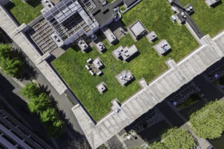 Zielone dachy w retencji wody deszczowej na obszarach miejskich