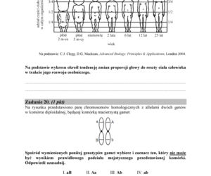 Matura 2018 z biologii. Poziom podstawowy - arkusze CKE