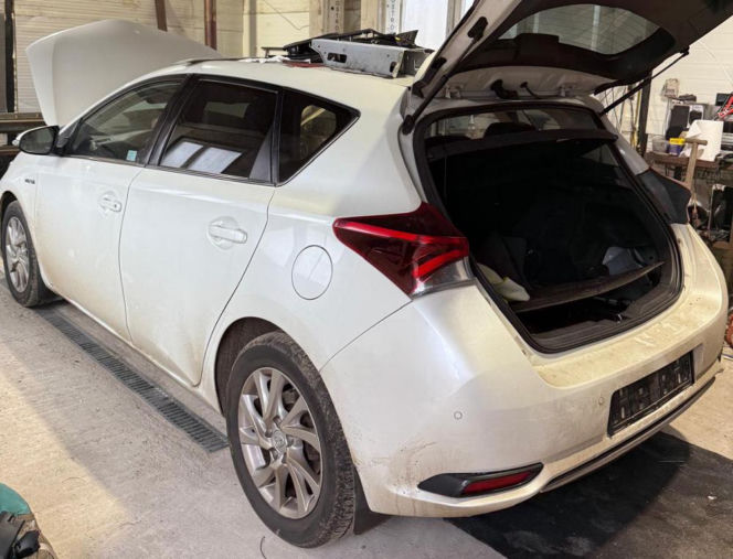 Koniec samochodowych złodziei! Policja rozbiła dziuplę pod Wołominem. Zatrzymano pasera