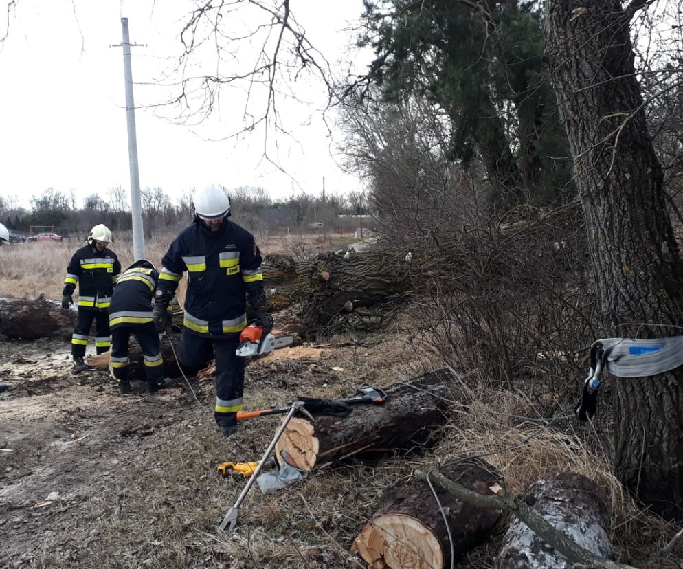 usuwanie drzew OSP Białobrzegi 