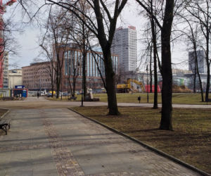 Wycinają drzewa obok Pałacu Kultury i Nauki