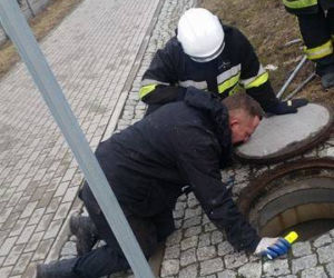 Sunia uwięziona w kanale