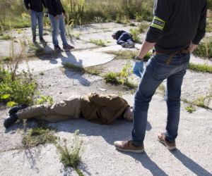 Chińska plantacja marihuany pod Piasecznem: Towar wart 3,5 mln zł!