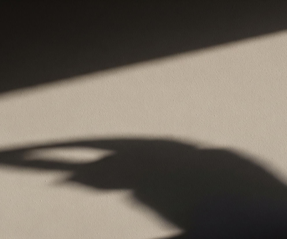 Jasna, beżowa ściana stanowi tło dla ciemnych cieni. Większa część górnej i lewej strony obrazu jest zacieniona na ciemnobrązowo-szaro, z wyraźną, prostą linią oddzielającą ją od jaśniejszej części ściany, biegnącą ukośnie od górnego lewego rogu do prawego dolnego rogu. Dodatkowo, w dolnej części obrazu, na jaśniejszej, beżowej powierzchni, widoczny jest duży, rozmyty cień przypominający kształtem dłoń z wyciągniętym palcem wskazującym.