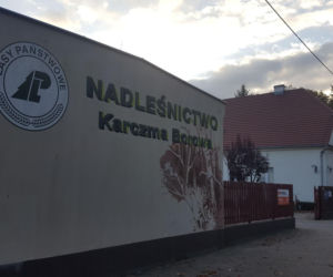 Były nadleśniczy znów usłyszał zarzut