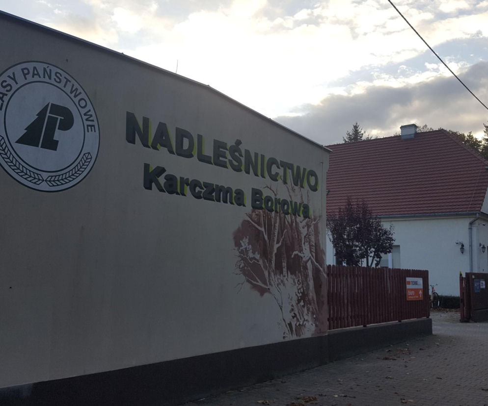 Były nadleśniczy znów stanie przed sądem. Za zniszczenia w gajówce niedaleko Leszna