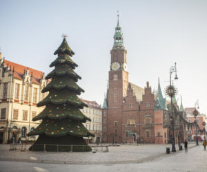 Nowa choinka na Rynku we Wrocławiu