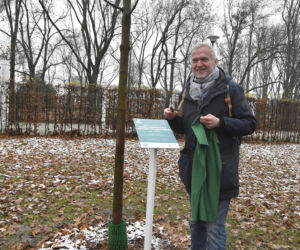 Powstańcy zapuścili korzenie. 20 drzew dla bohaterów w parku na Woli