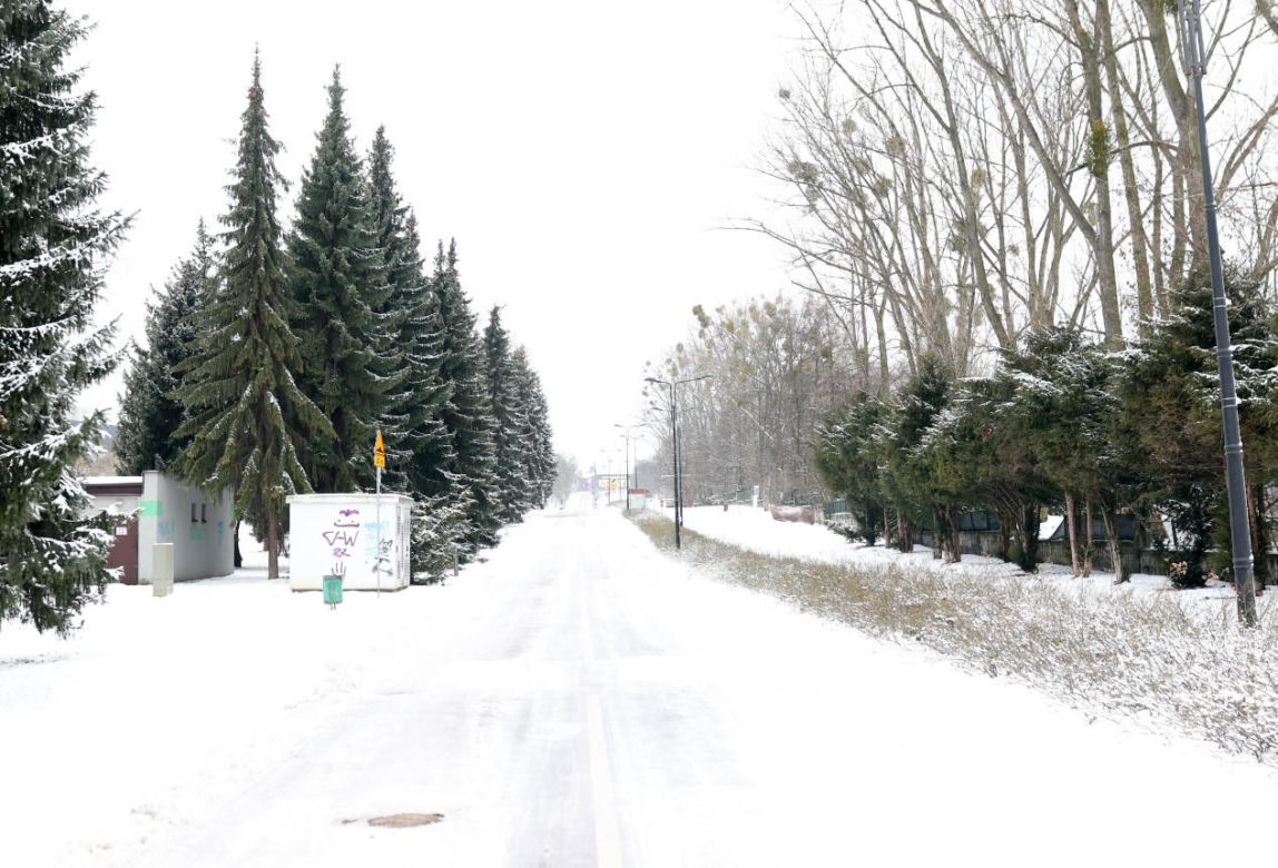 Tam jest jak w bajce! Park Śląski zimą na fotografiach 