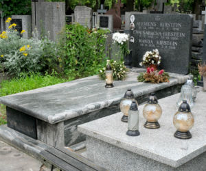 Niezapomniani Ewa Sałacka