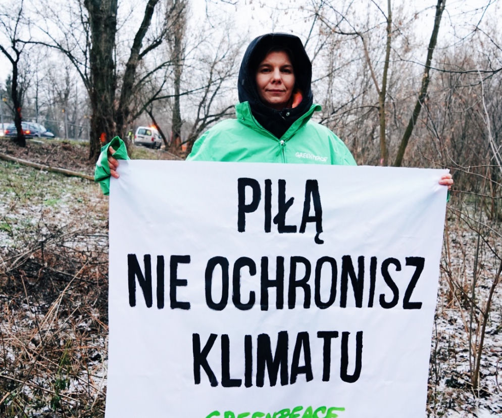 Aktywiści Greenpeace bronią drzew nad Wisłą