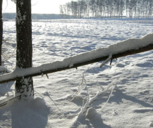 Pogoda zimą