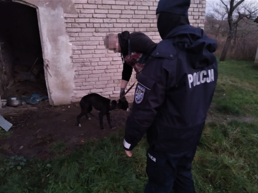 Policjanci WYRWALI psy z PIEKŁA!