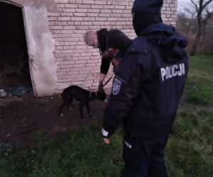 Policjanci WYRWALI psy z PIEKŁA!