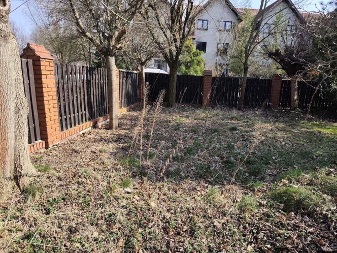 Upadek znanego prokuratora. Sukcesy, korupcja i śmierć. Jak zginął Jerzy Hop i jego syn? Nowe hipotezy szokują