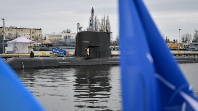 Program Orka i ochrona Bałtyku. Polska i Szwecja zacieśniają sojusz