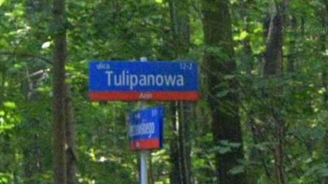 Oto najbardziej "wiosenne" ulice w stolicy! Tu wiosna trwa cały rok!