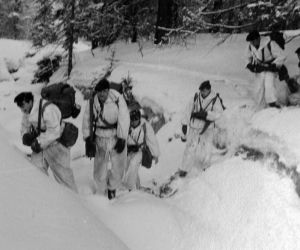 Żołnierze jednorazowego użytku