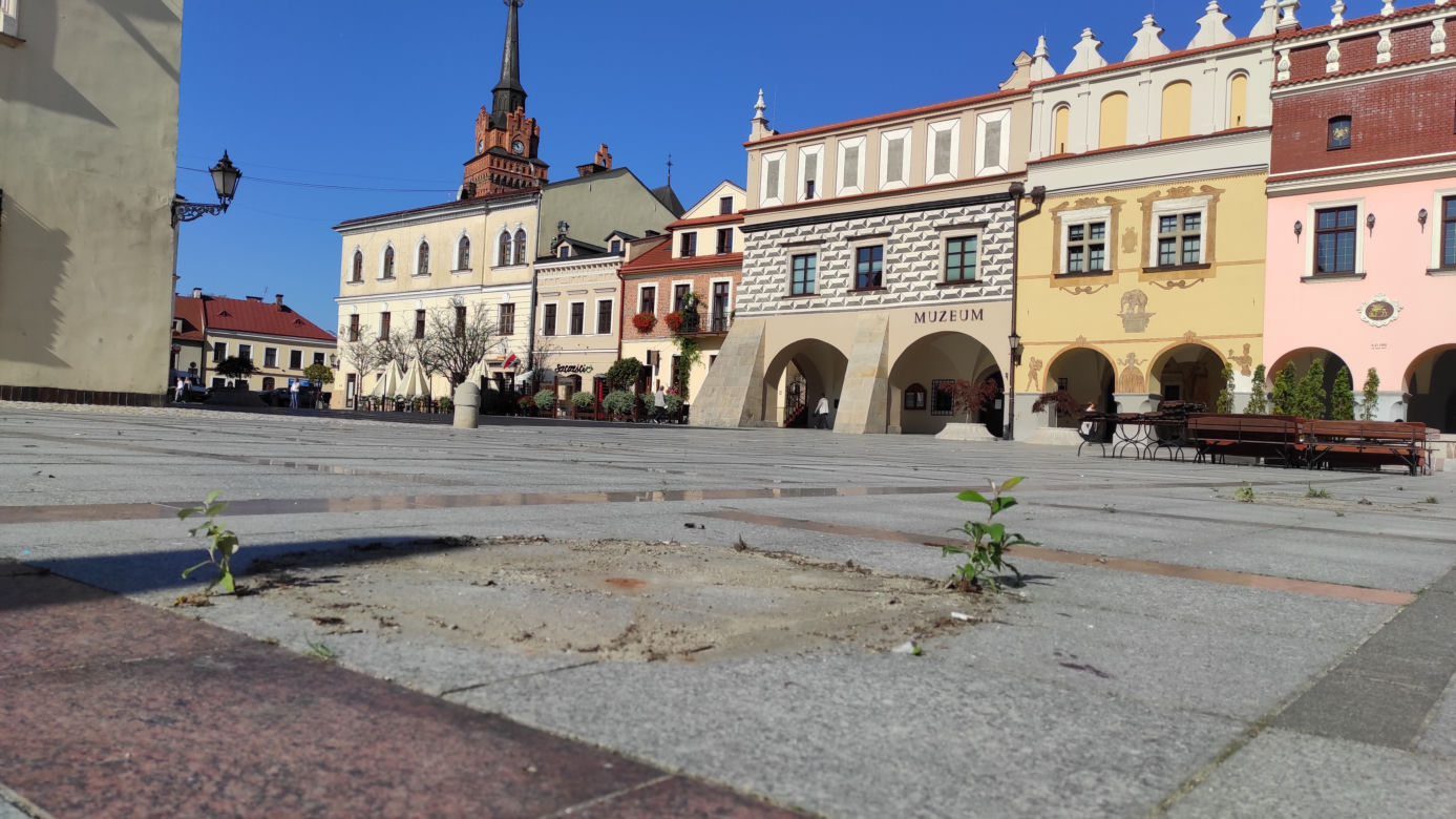 Znikają parasolki z tarnowskiego rynku