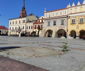 Znikają parasolki z tarnowskiego rynku