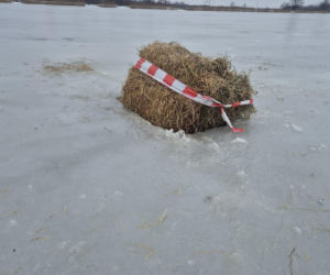 Wycinanie przerębli na zalewie siedleckim 2026
