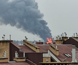 Wzrost pożarów w 2025 roku. PTEDP: potrzebne są zmiany w przepisach