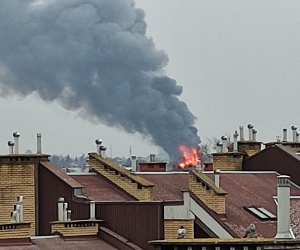 Wzrost pożarów w 2025 roku. PTEDP: potrzebne są zmiany w przepisach