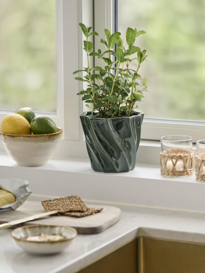 Søstrene Grene