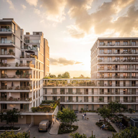 Alides Polska - inwestycja na Woli