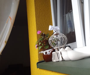 balkon 2015 zdjecie nr 11