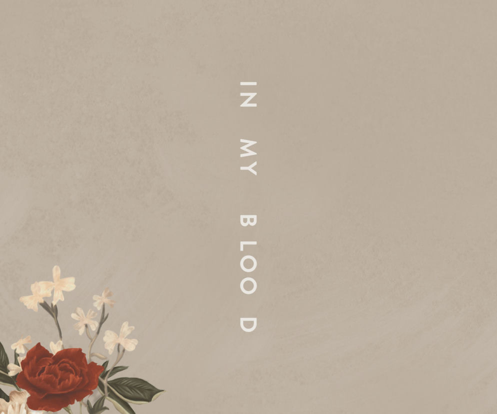 Nowości Muzyczne 2018: Shawn Mendes wrócił! In My Blood hitem wiosny 2018?