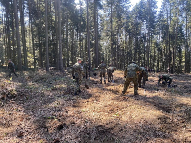 Strażnicy Graniczni sadzili drzewa z okazji 35-lecia swojej formacji