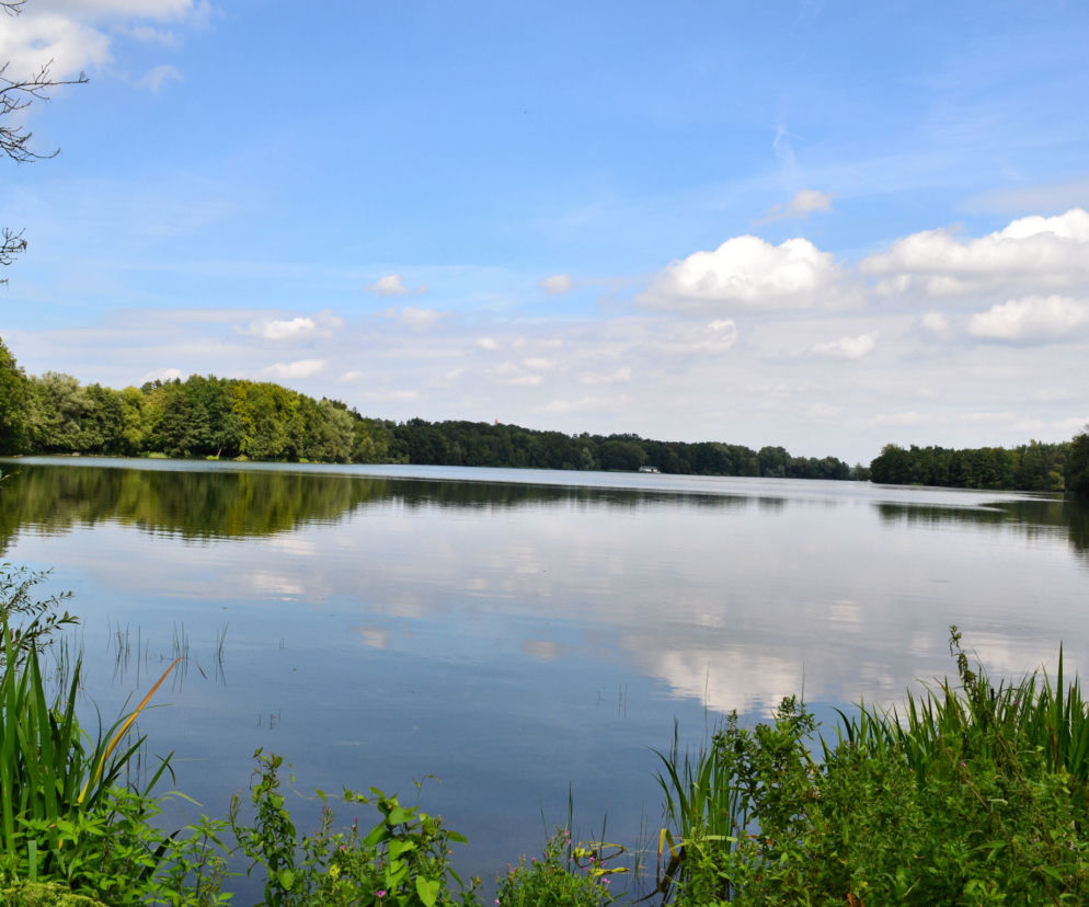Jezioro, woda