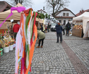 35 metrów i 80 centymetrów liczy palma, która zwyciężyła tegoroczny konkurs palm w Lipnicy Murowanej