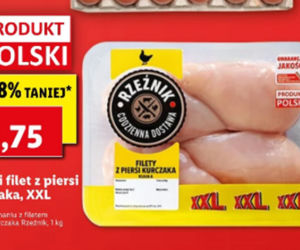 Mega promocje w Lidlu 
